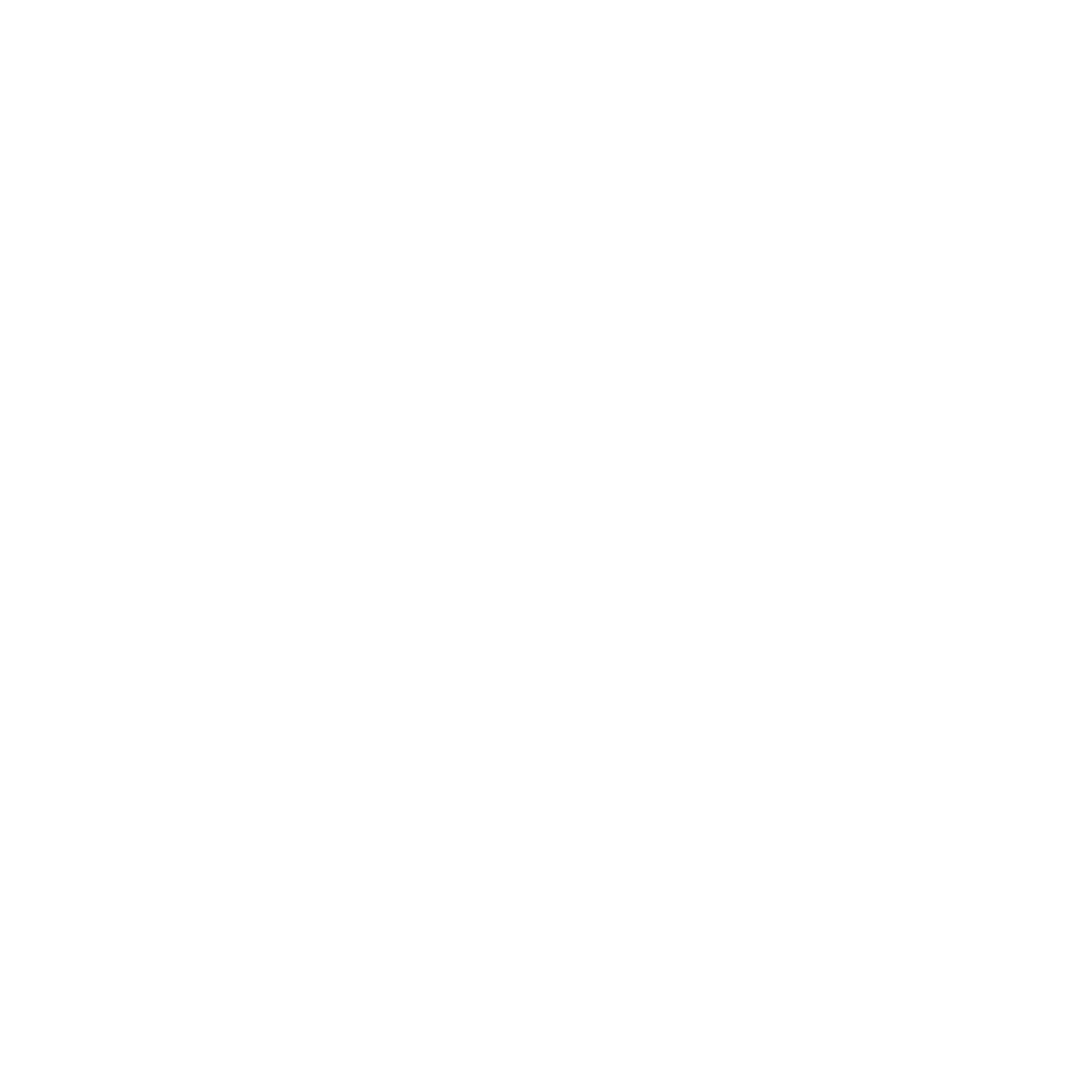 BVBCnamelogowht